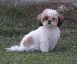 dscn0836.jpg