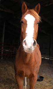 dscn2163.jpg
