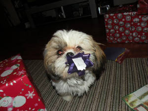 dscn2170.jpg
