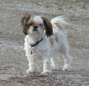 dscn23382.jpg