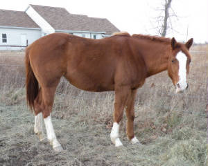 dscn23942.jpg
