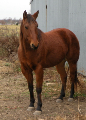 dscn17822.jpg
