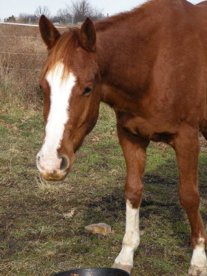 dscn20632.jpg