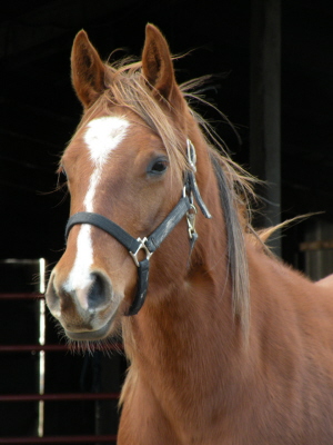 dscn24102.jpg