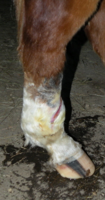 dscn247122.jpg
